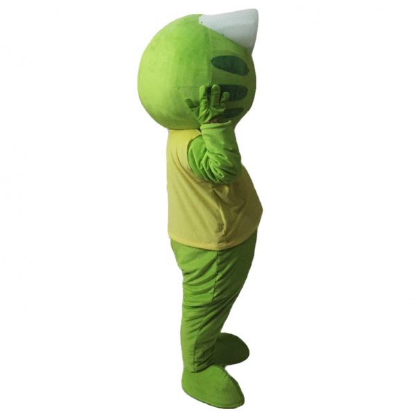 Green Frog Mascot Costume