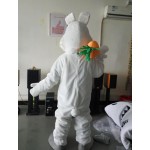 Easter Bunny Mascot Costumes