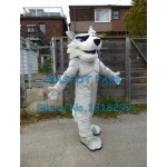 light grey husky Mascot Costume