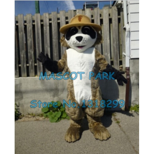 ranger rick racoon Mascot Costume